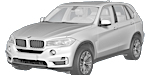 BMW F15 P109C Fault Code